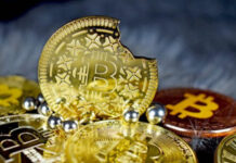 Bitcoin: Imposto de Renda 2021 terá campo para declarar criptoativos